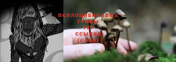 дмт Алзамай