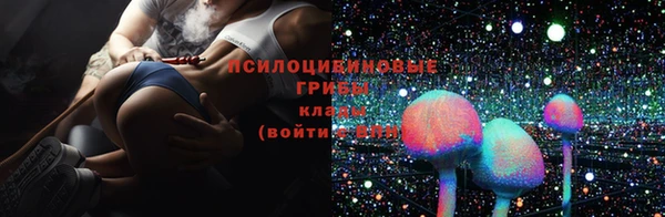 МДПВ Алексин