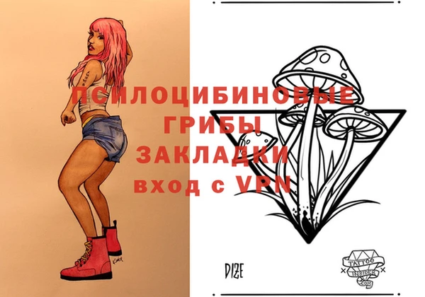 МДПВ Алексин