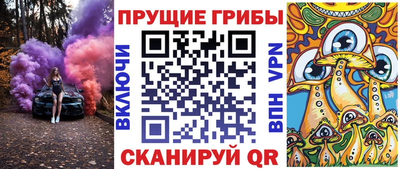 что такое   Бавлы  Псилоцибиновые грибы Psilocybe 